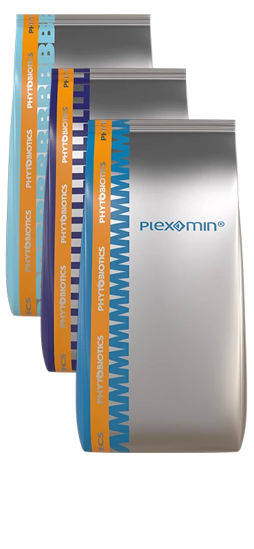 Plexomin