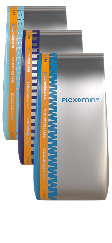 Plexomin