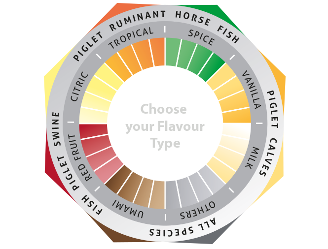 Flavour Wheel